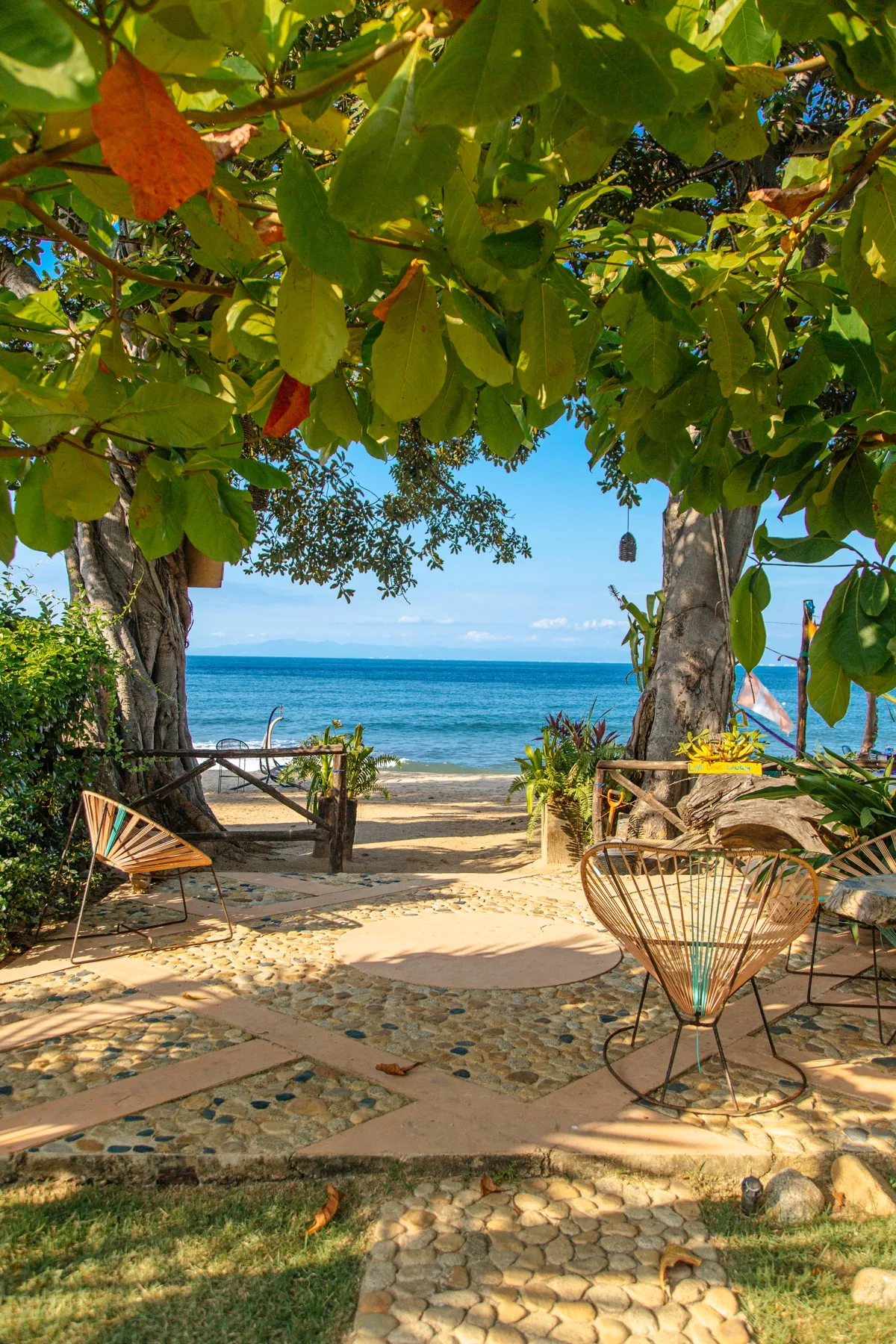 Ocean view framed by trees and lounge chairs