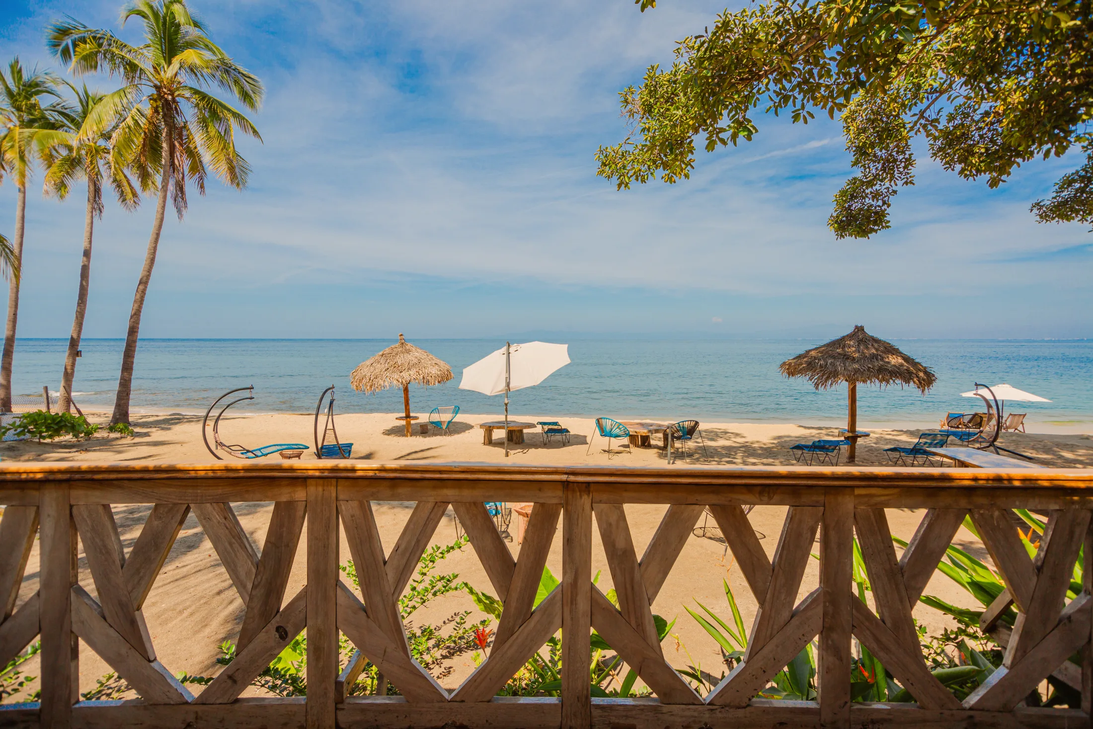 Beachfront terrace with palms and beach seating at Amaca Beach